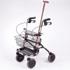 Deambulatore Invacare Banjo
