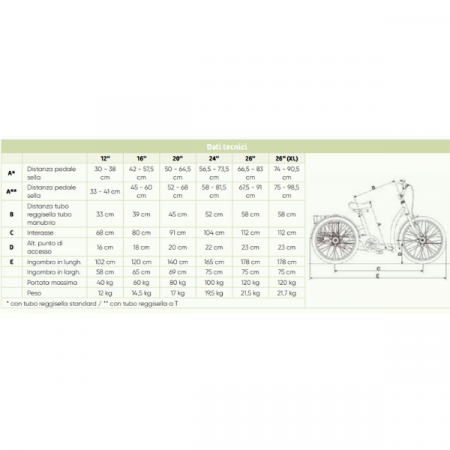 Triciclo Trike Momo Schuchmann Ottobock - immagine 2